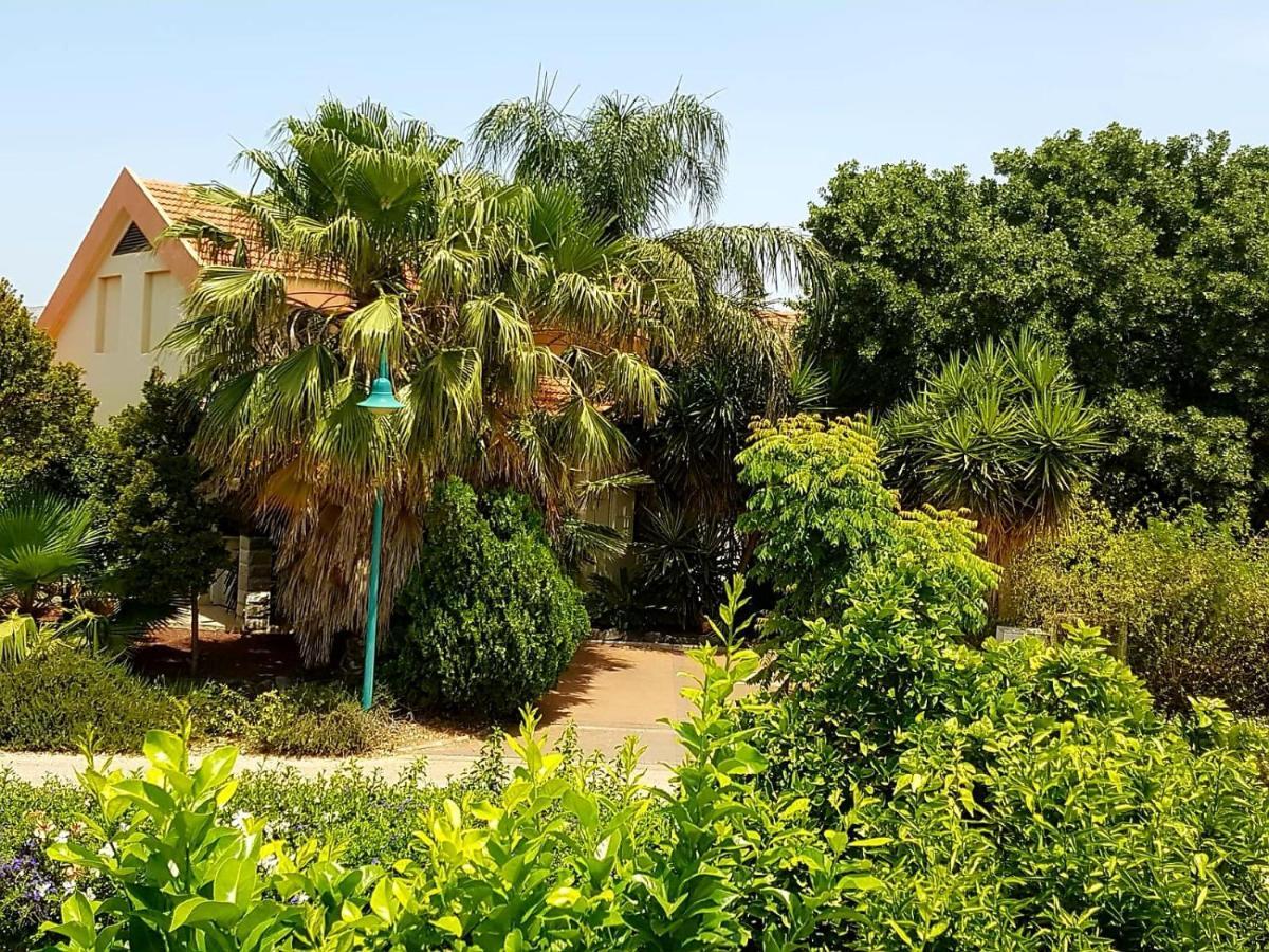 Huge & Private Villa In Kibbutz Dafna Eksteriør bilde